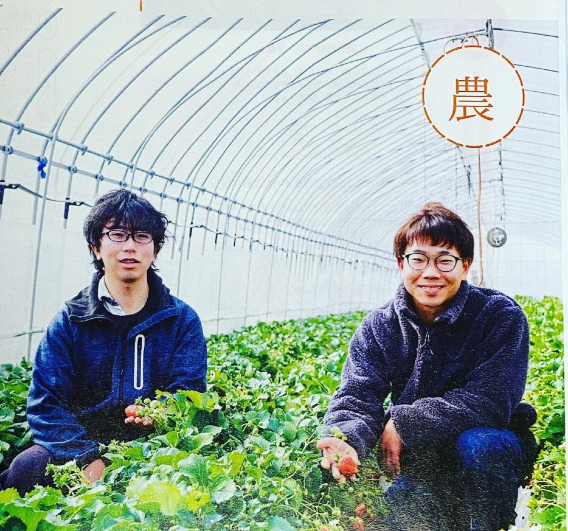いちご兄弟農園の兄弟