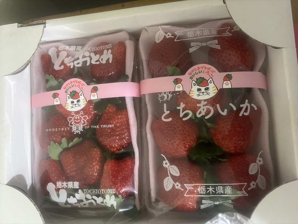 SPパック